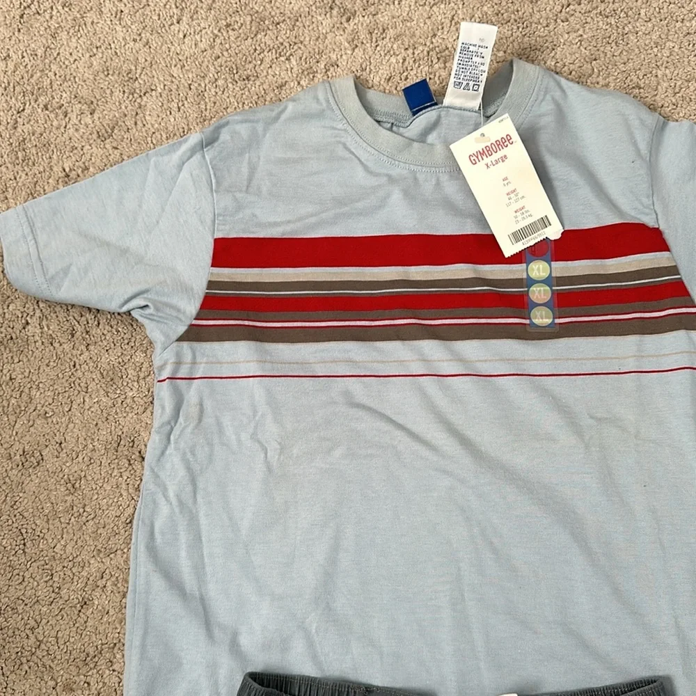 Gymboree 2 pc short outfit , NWT